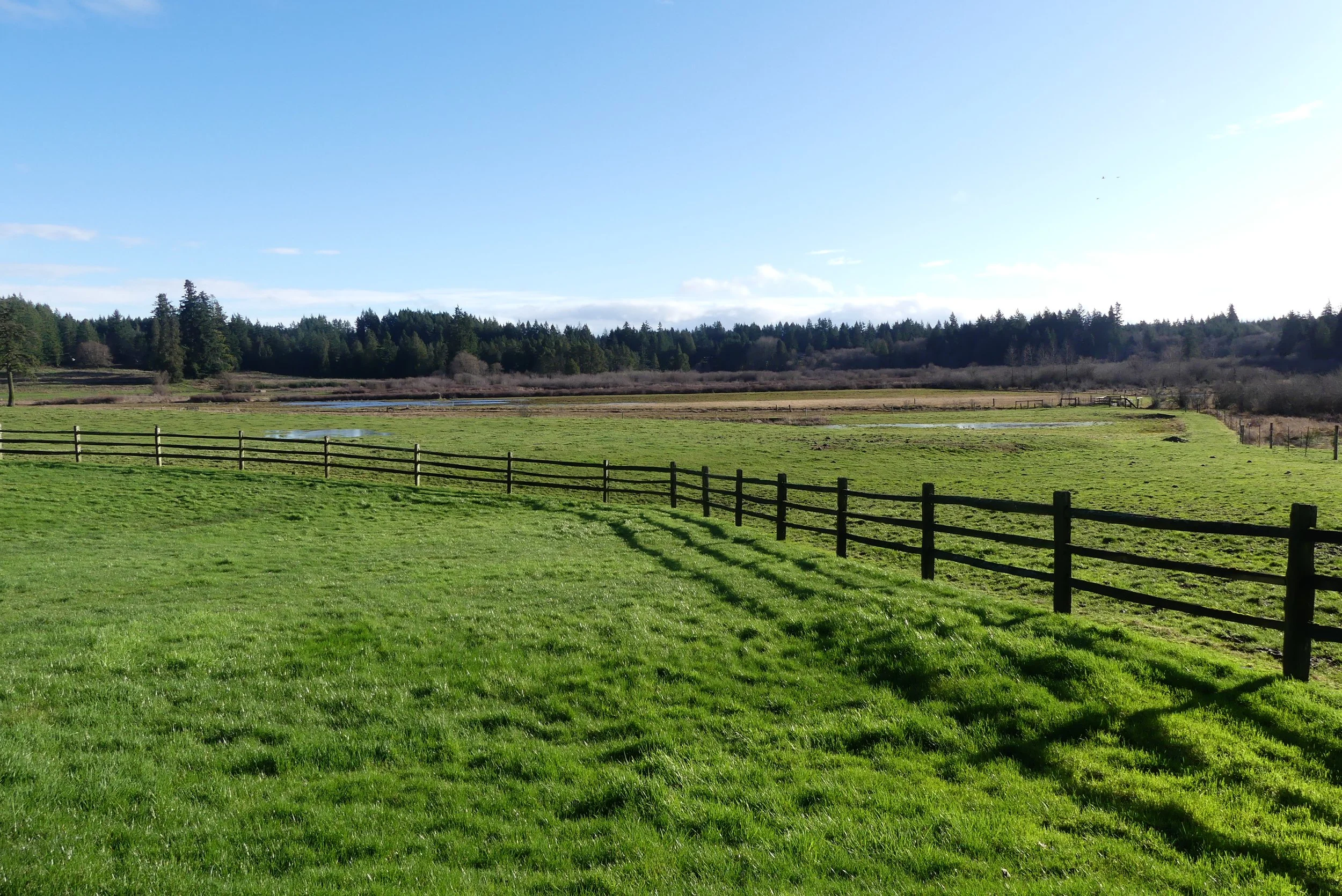 Rain, Raptors, and Rare Finds: Part Two of the CBC