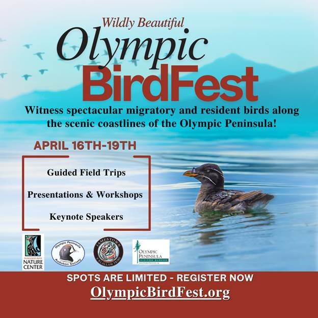Olympic BirdFest