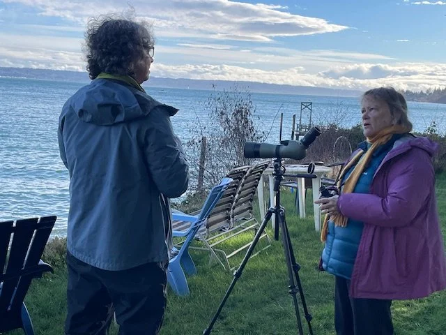 Wind, Water, and Welcome Faces: Kingston–Indianola CBC