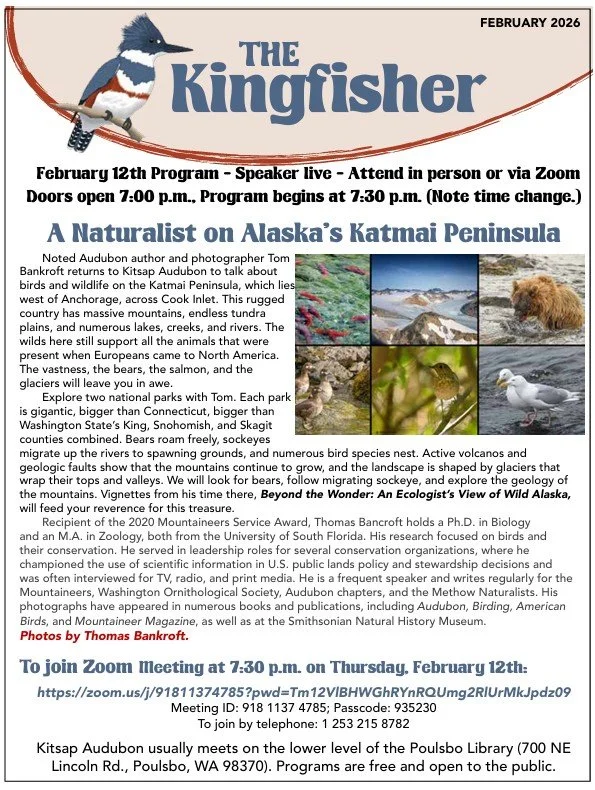 February 2026 Newsletter