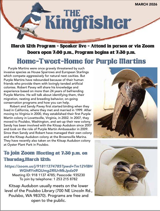 March 2026 Newsletter