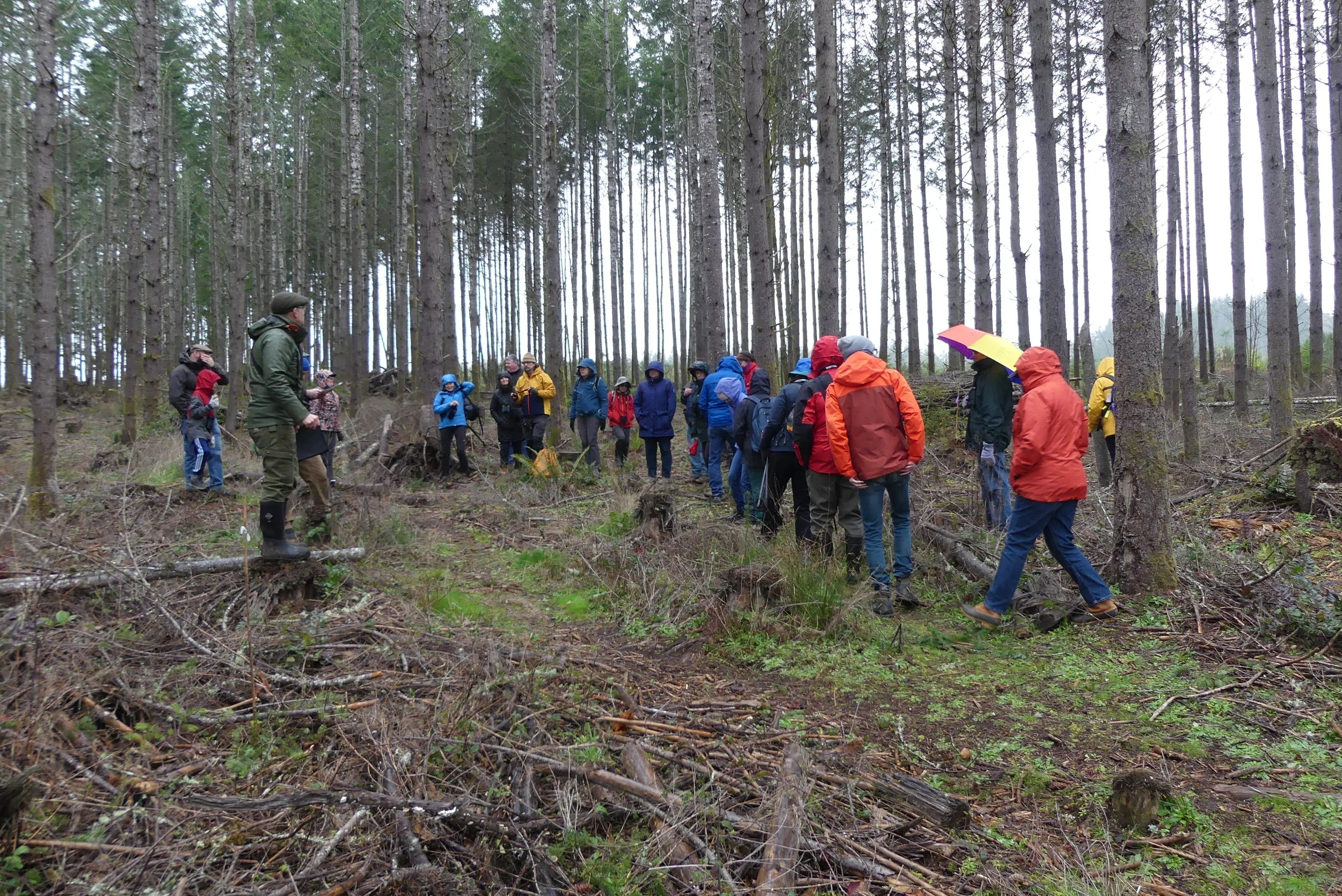The Science of Sound: GPC and Kitsap Audubon Explore the "Listen Up" Collaborative