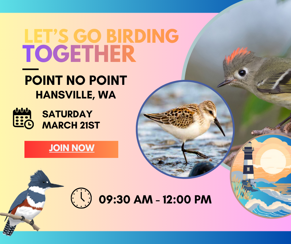 Let’s Go Birding Together Field Trip: Point No Point, Hansville