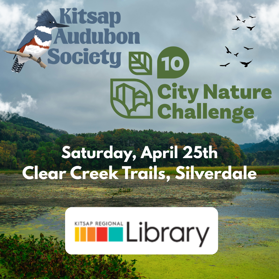 City Nature Challenge 2026