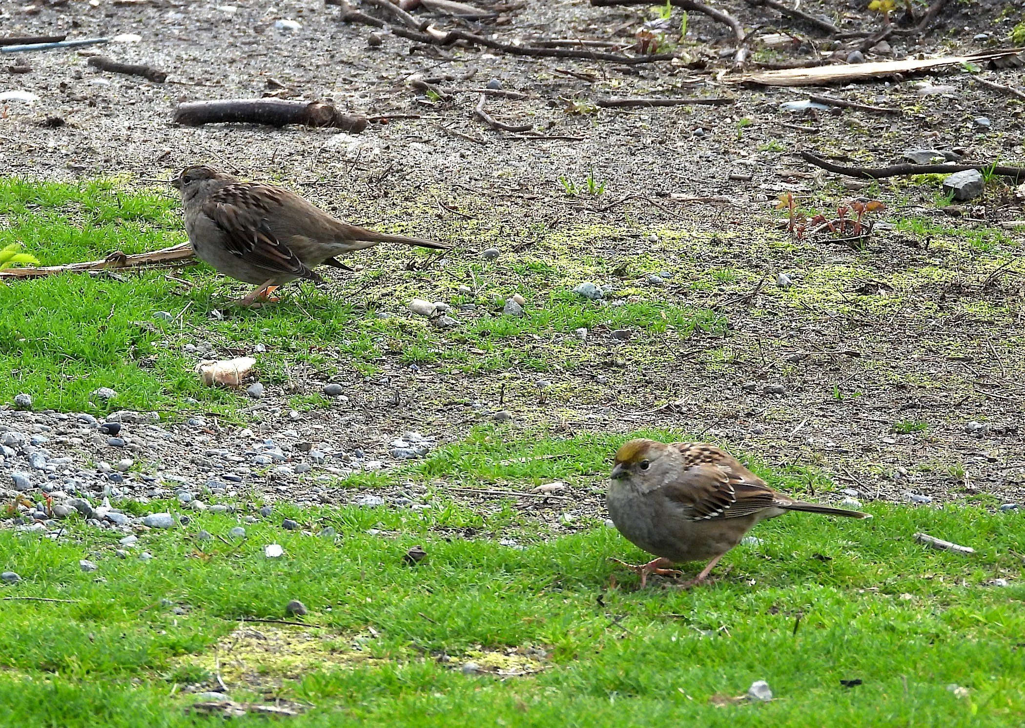 Photo by Casey Burns