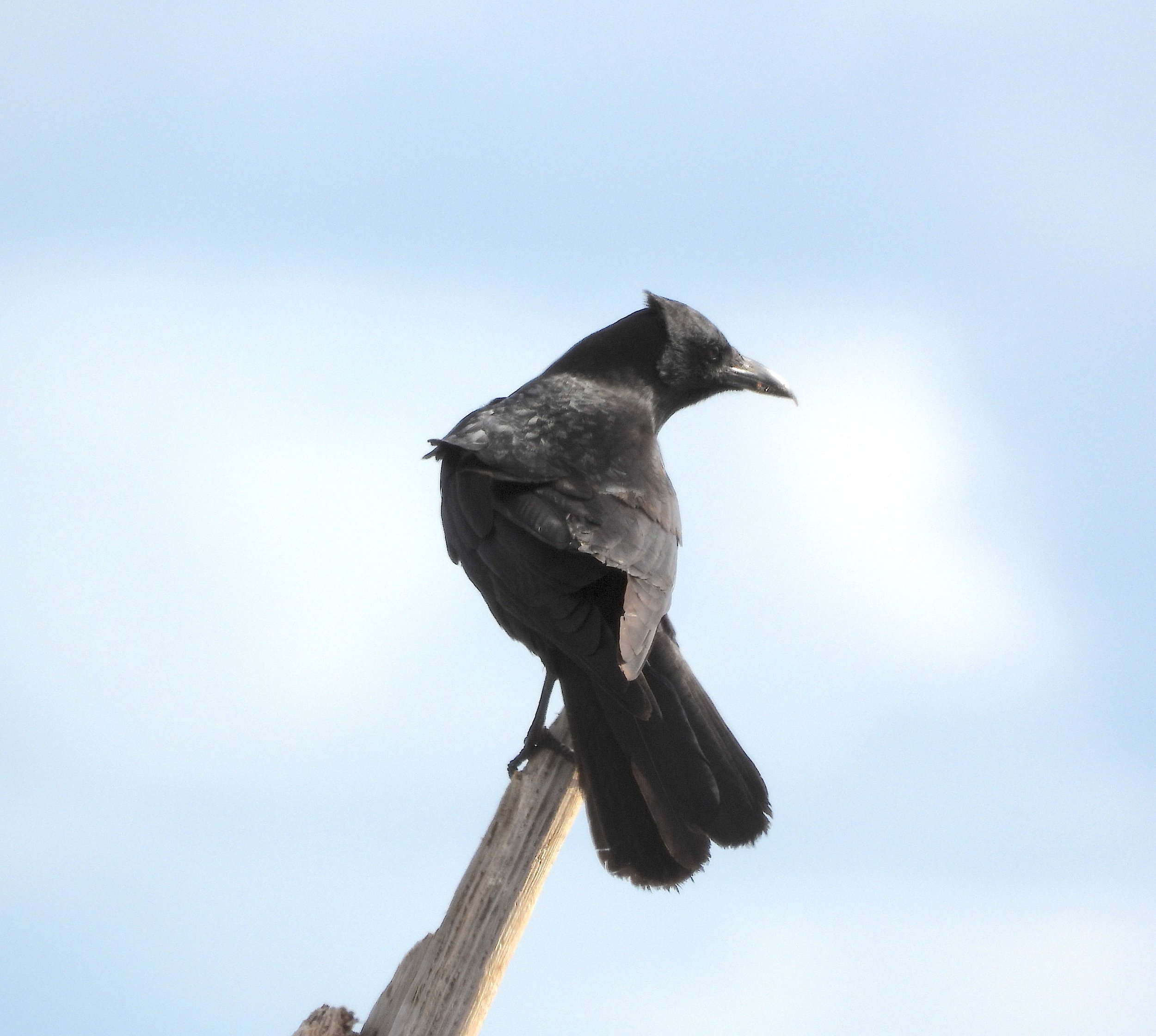 Photo by Casey Burns