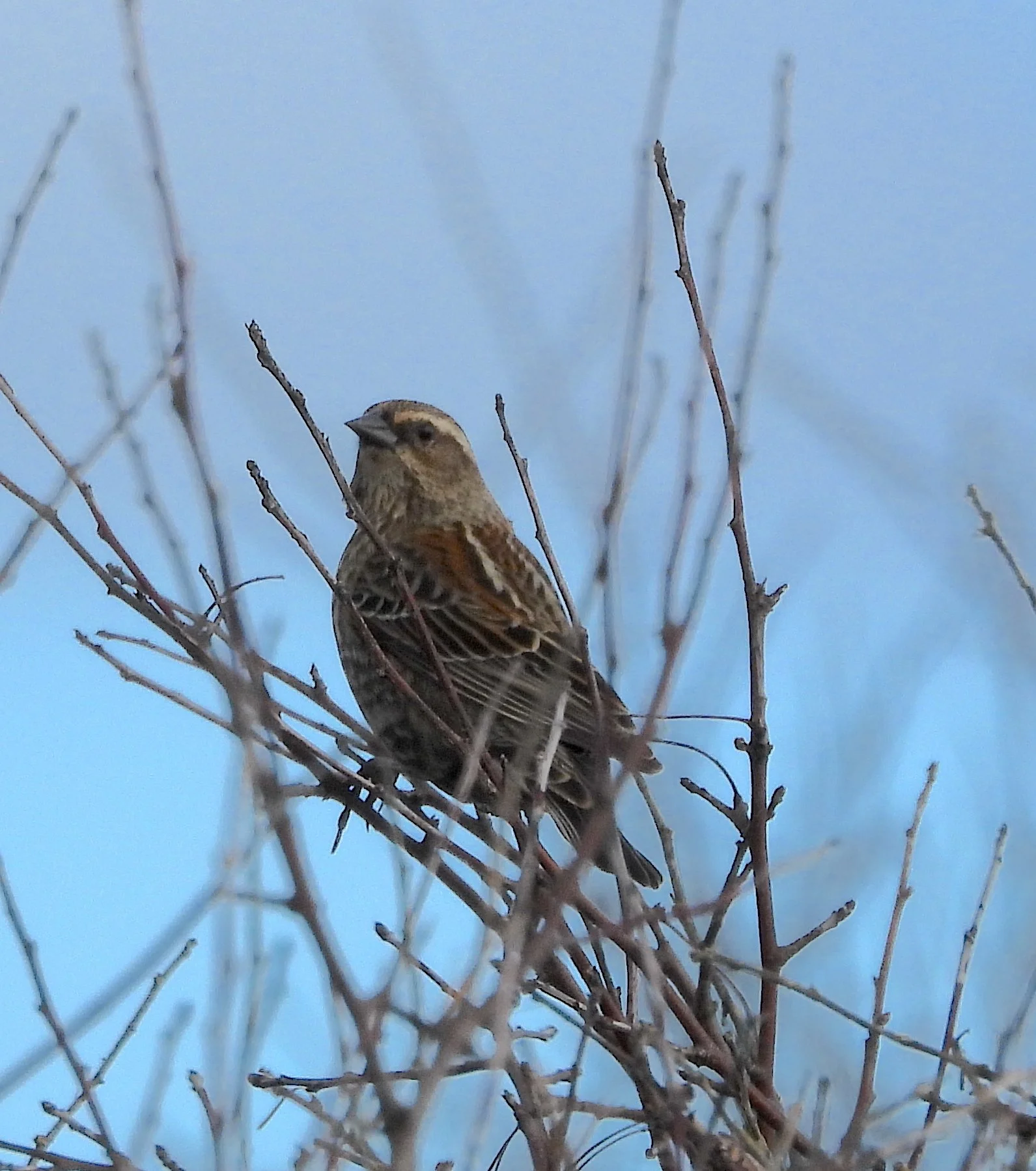 Photo by Casey Burns