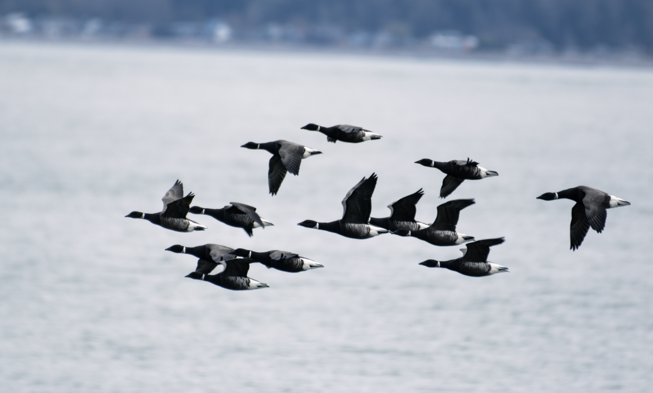 Photo by Ranjit Mulgaonkar