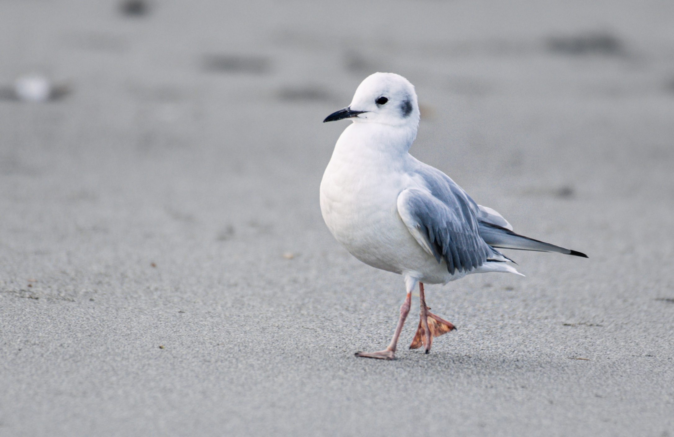 Photo by Ranjit Mulgaonkar