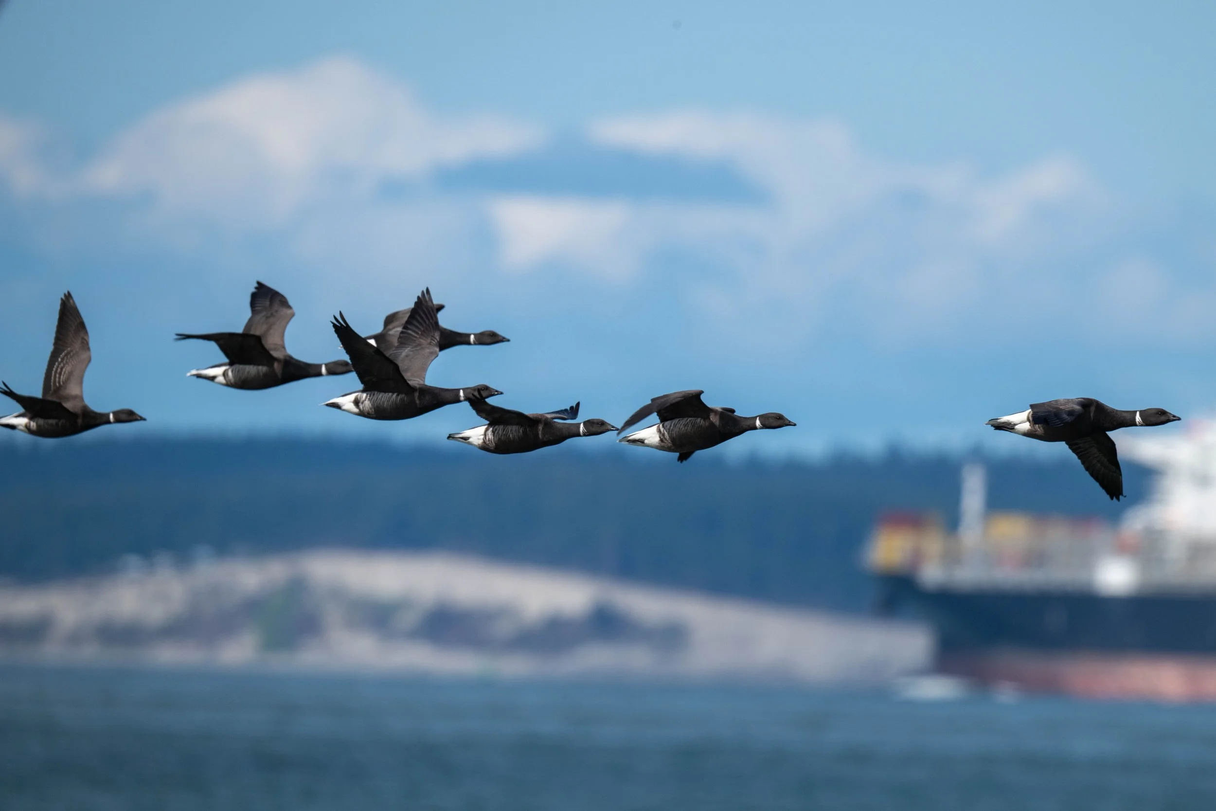 Photos by Suzanne Self