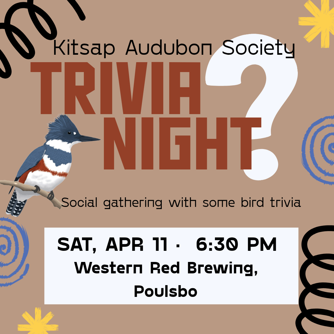 Winging It: A Spring Migration Trivia Night