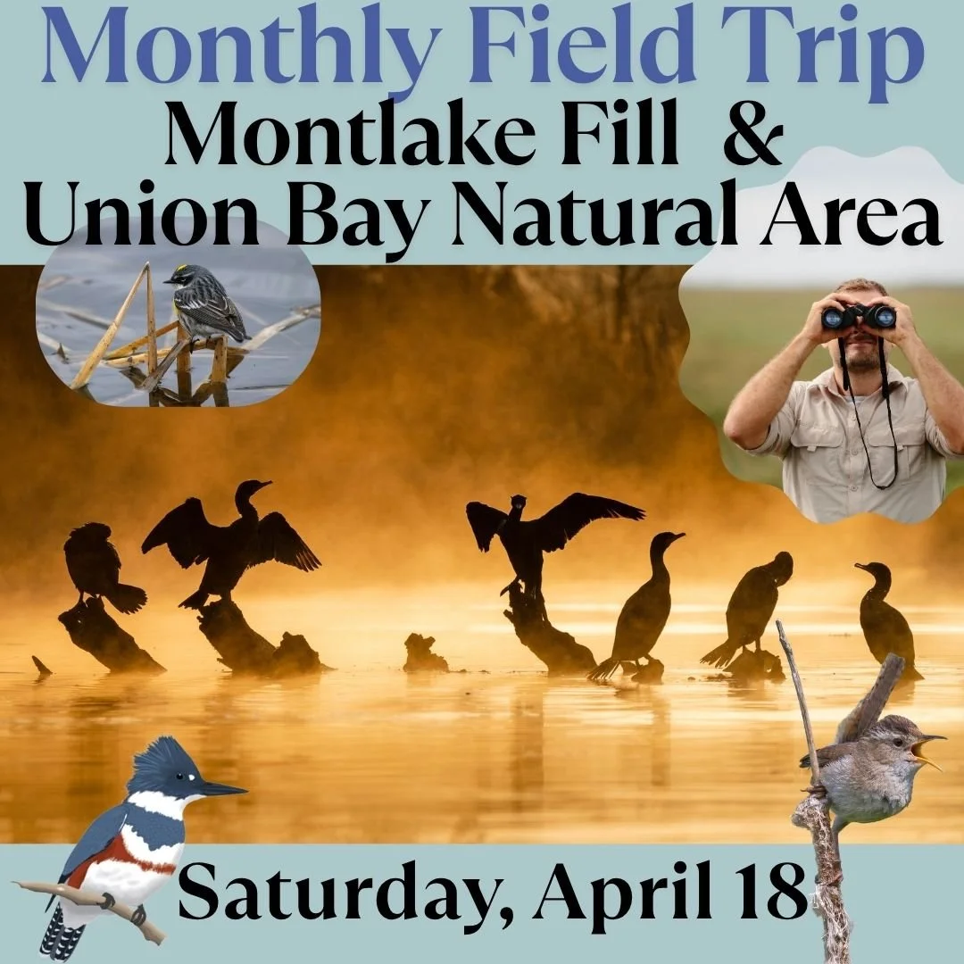 Field Trip - Montlake Fill/Union Bay Natural Area