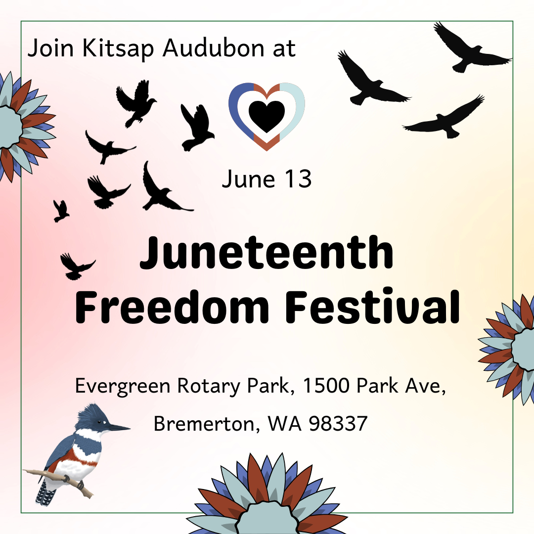 Juneteenth Freedom Festival & The People’s March