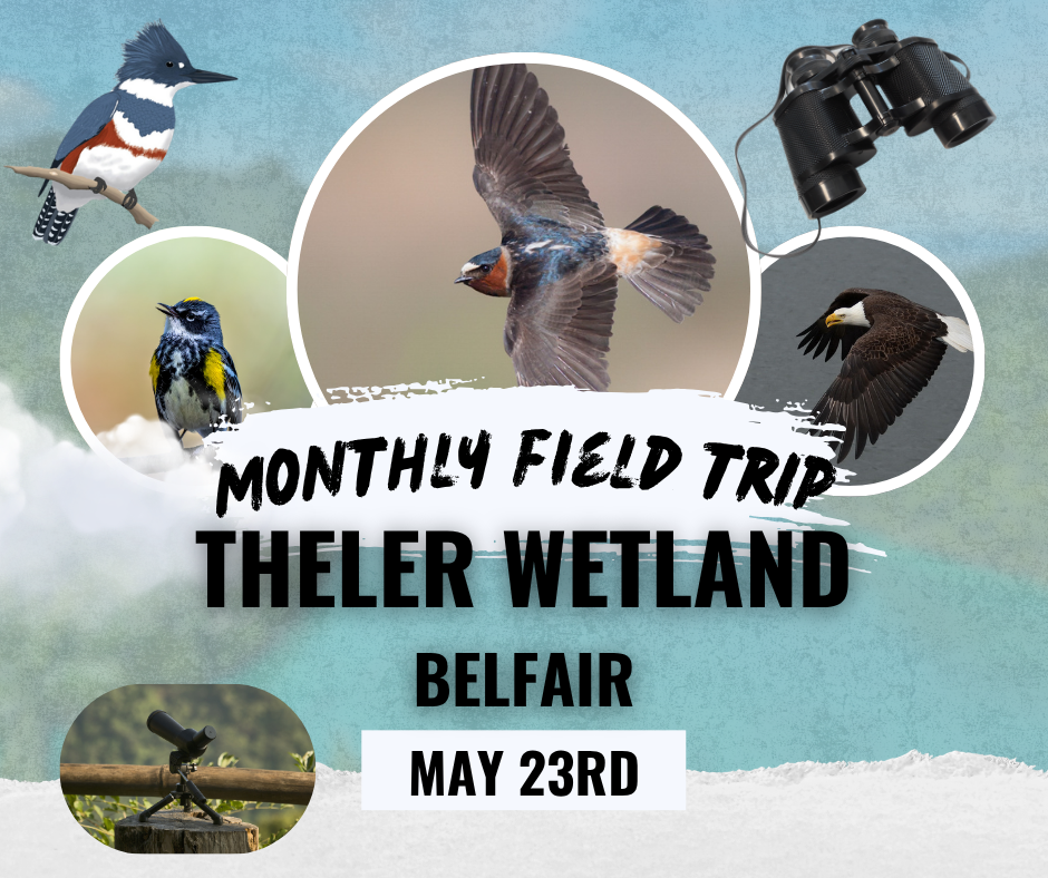 Field Trip: Theler Wetlands, Belfair