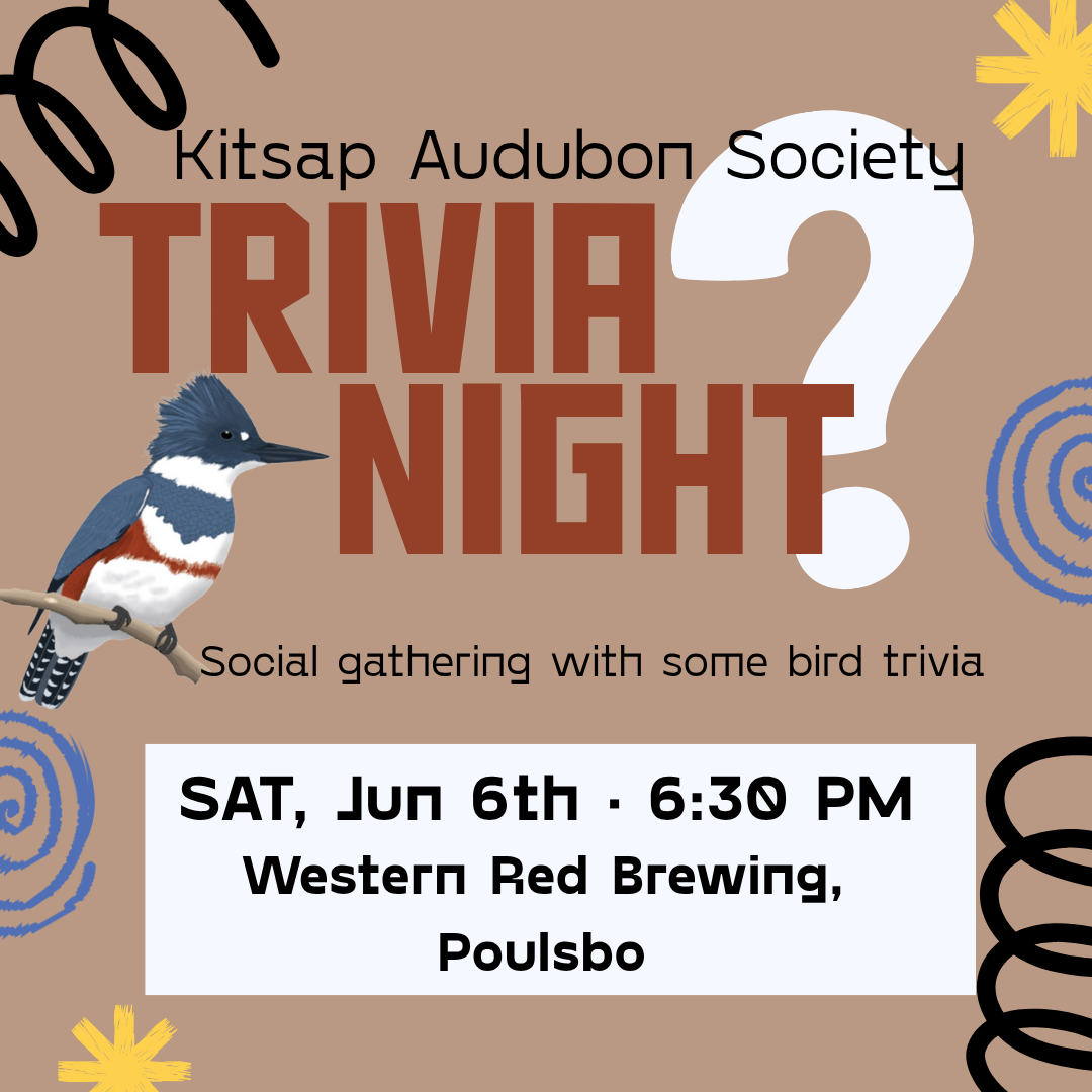 Birders Trivia Night
