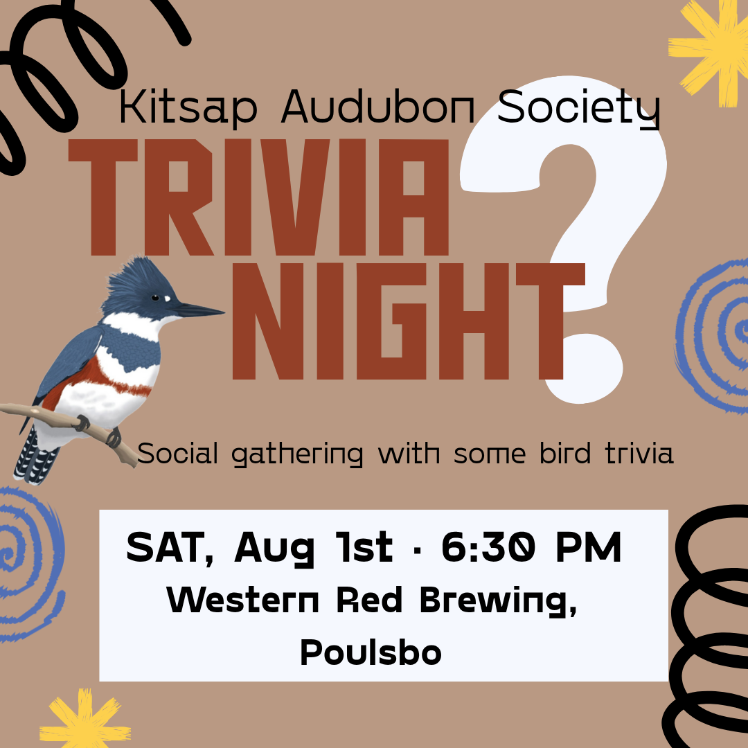 Birders Trivia Night