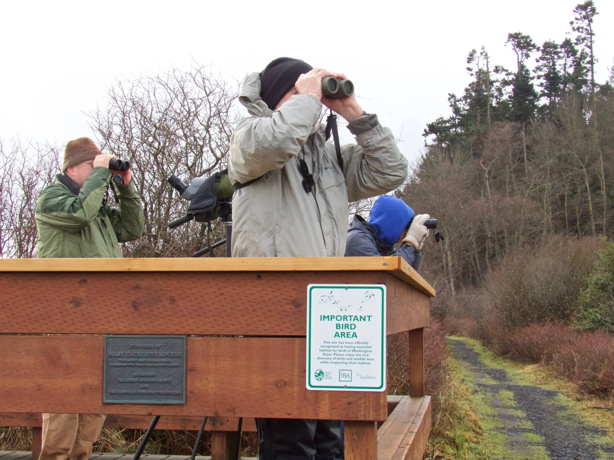 Guided Nature Walk - Point No Point County Park
