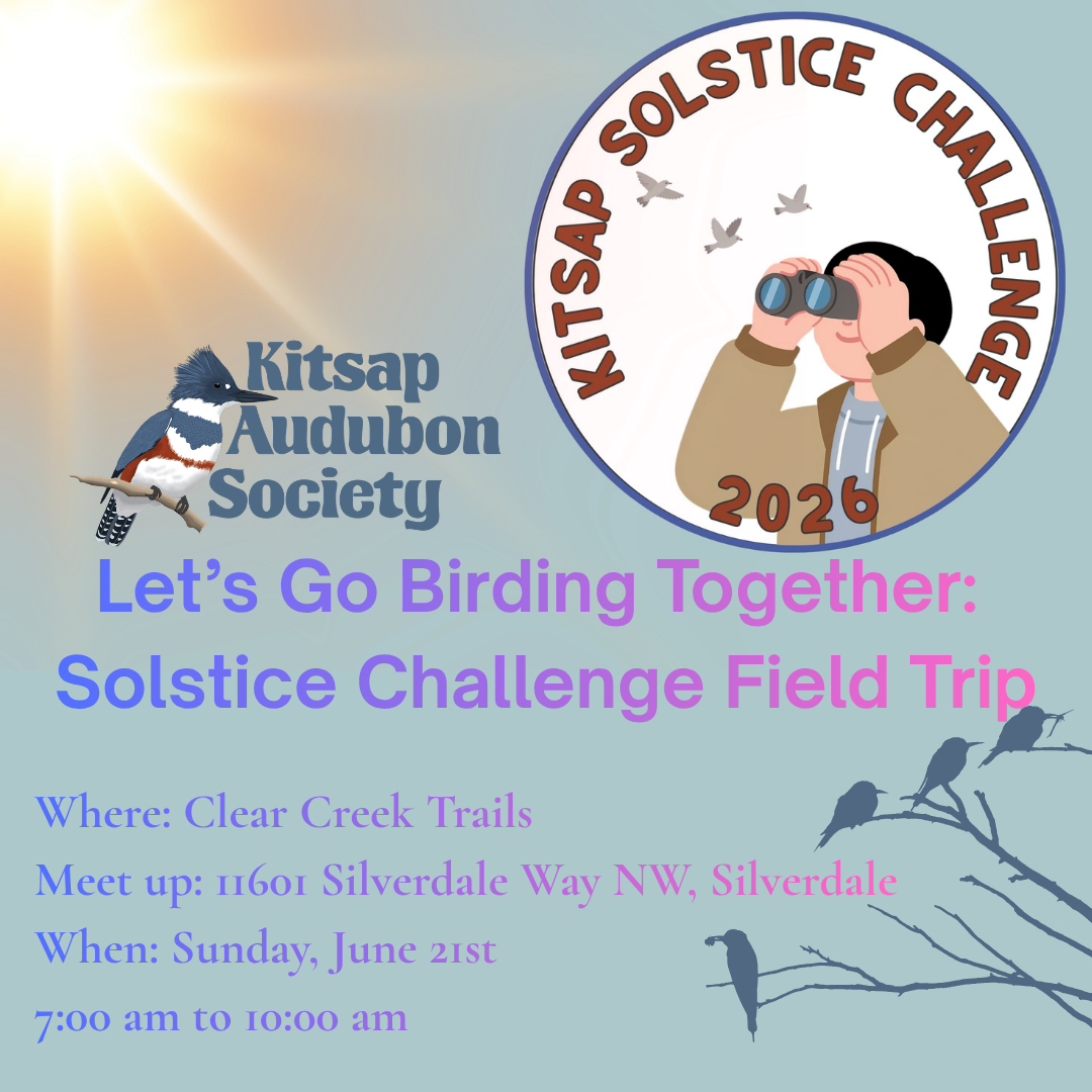 Let's Go Birding Together: Solstice Challenge 2026 Field Trip