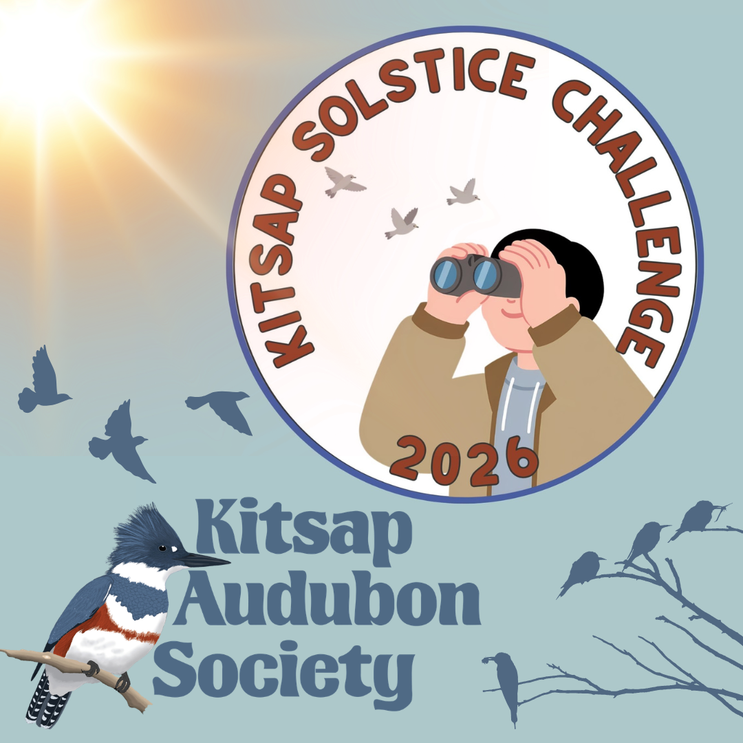 Kitsap Audubon Solstice Challenge 2026
