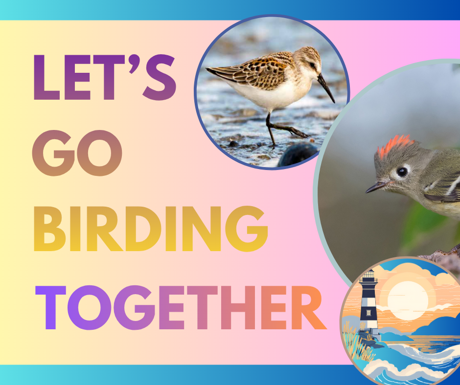 Let's Go Birding Together Field Trip: Foulweather Bluff