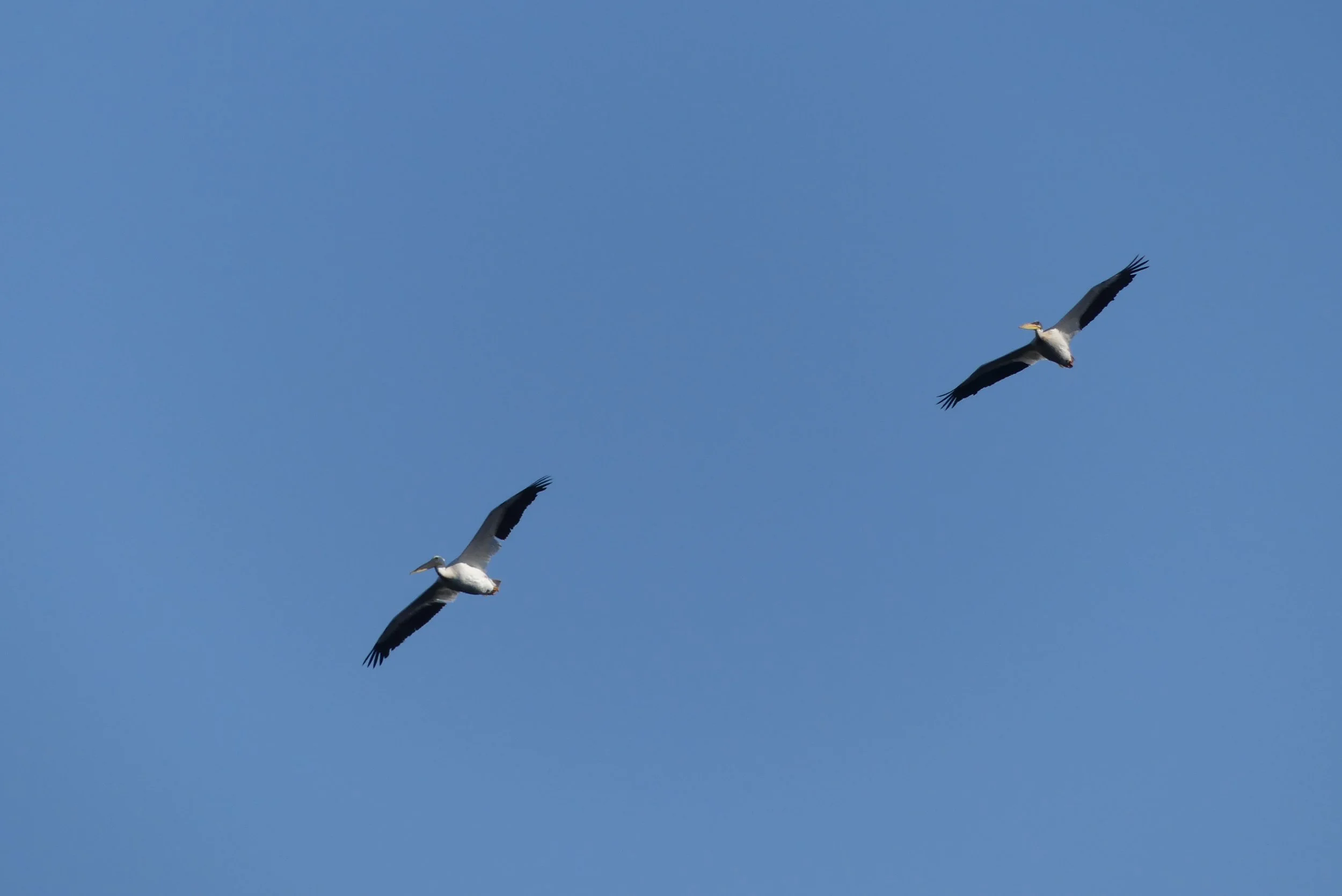 P1390003.JPG
