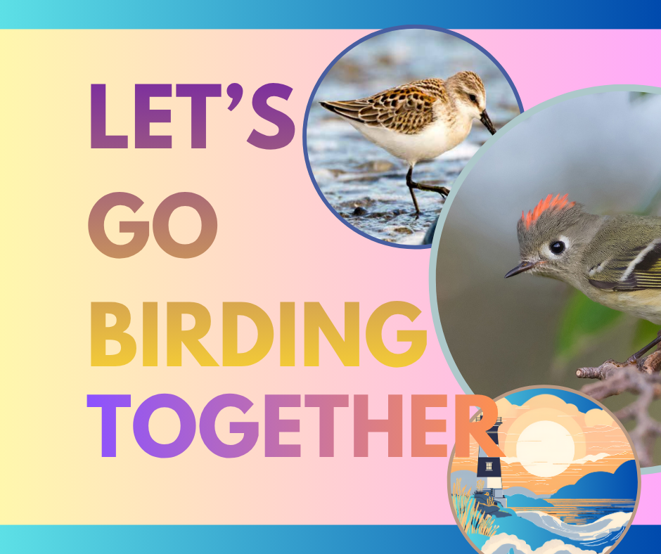 Let's Go Birding Together: Port Gamble Circuit