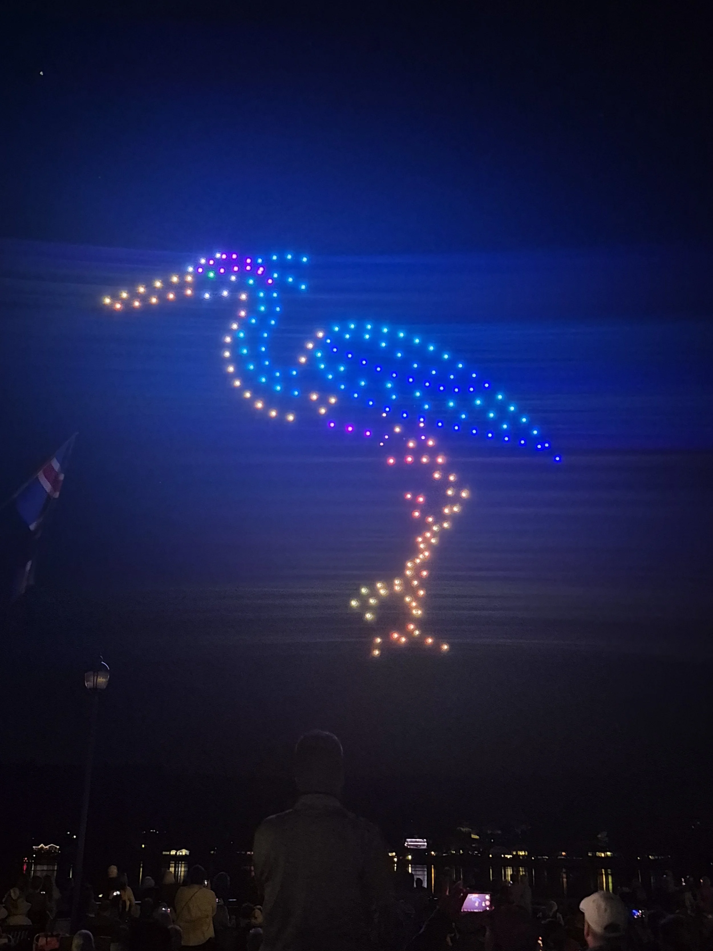 Quieter Skies over Liberty Bay: Why Drone Shows Are a Win for Birds and Community Celebrations