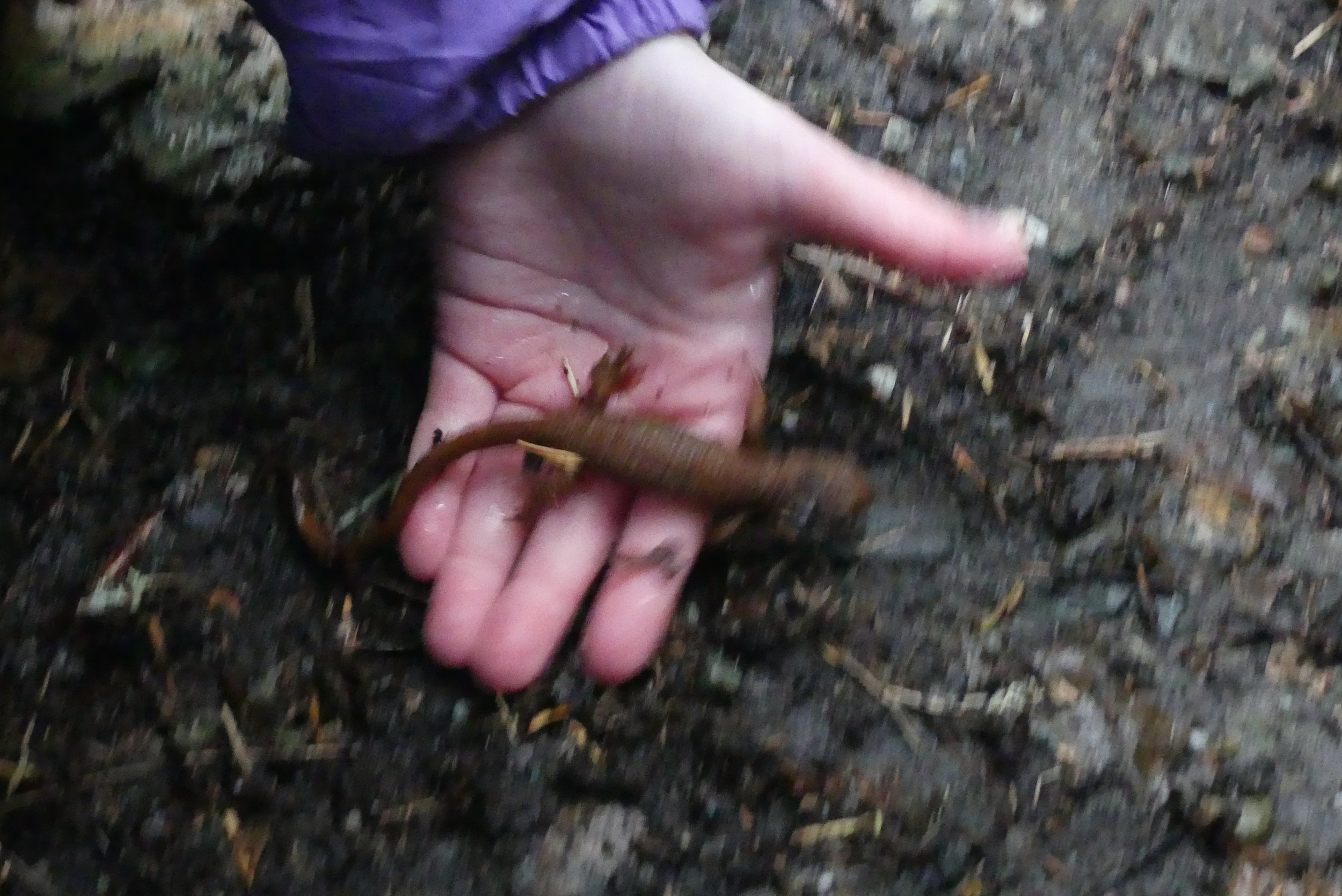 P1390497.JPG