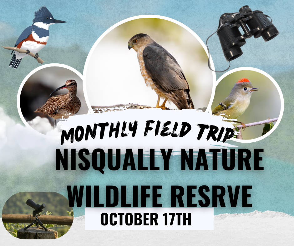 Monthly General Field Trip: Nisqually NWR 