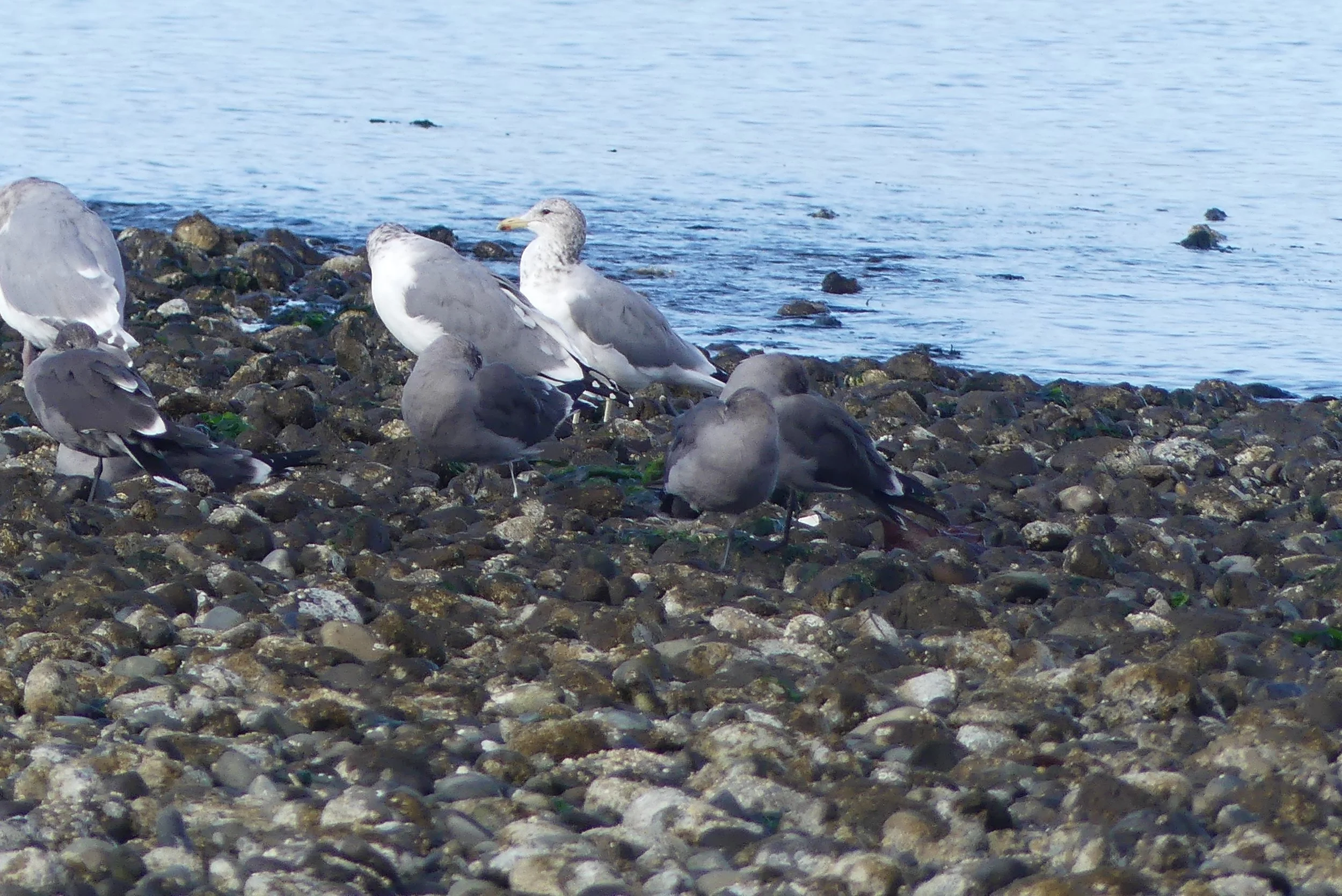 P1400016.JPG