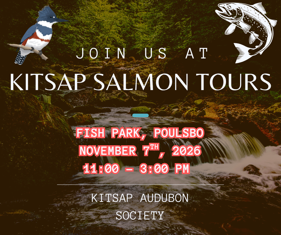 Kitsap Salmon Tours @ Poulsbo Fish Park