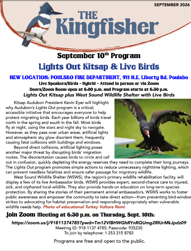 2026 newsletter titled "The Kingfisher" featuring a kingfisher bird perched on a branch. The newsletter announces a January 8th virtual program about Washington's diurnal raptors, led by ornithologist Jeff Birek. It provides details on the event's Zoom link, meeting ID, and passcode, and mentions the winter cancellations for meetings due to weather. The layout includes text information and a picture of a kingfisher bird.