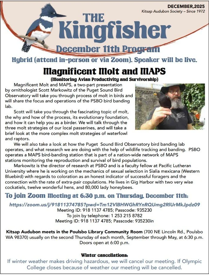 Dec 2025 Newsletter image.jpg