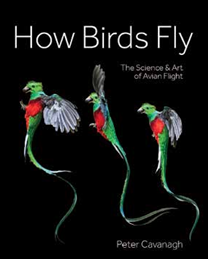 Book cover for "How Birds Fly: The Science & Art of Avian Flight" by Peter Cavanagh, featuring three illustrated hummingbirds in flight.