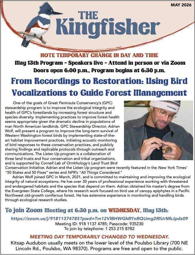 2026 newsletter titled "The Kingfisher" featuring a kingfisher bird perched on a branch. The newsletter announces a January 8th virtual program about Washington's diurnal raptors, led by ornithologist Jeff Birek. It provides details on the event's Zoom link, meeting ID, and passcode, and mentions the winter cancellations for meetings due to weather. The layout includes text information and a picture of a kingfisher bird.