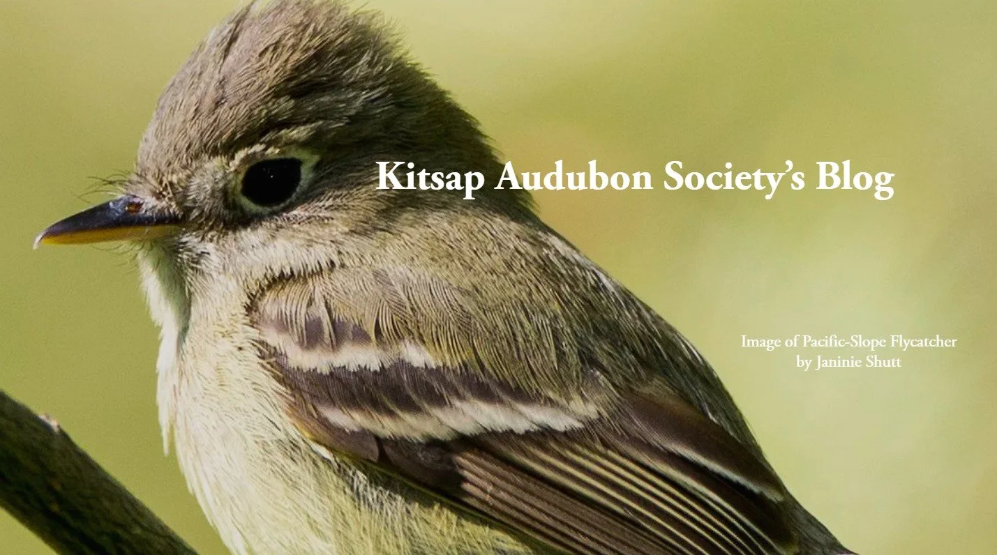 Blog photo for site.jpg