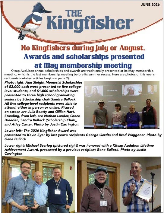 2026 newsletter titled "The Kingfisher" featuring a kingfisher bird perched on a branch. The newsletter announces a January 8th virtual program about Washington's diurnal raptors, led by ornithologist Jeff Birek. It provides details on the event's Zoom link, meeting ID, and passcode, and mentions the winter cancellations for meetings due to weather. The layout includes text information and a picture of a kingfisher bird.