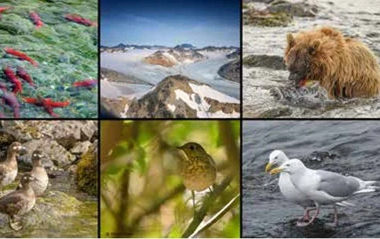 Images of Alaska’s Katmai Peninsula by Thomas Bankroft