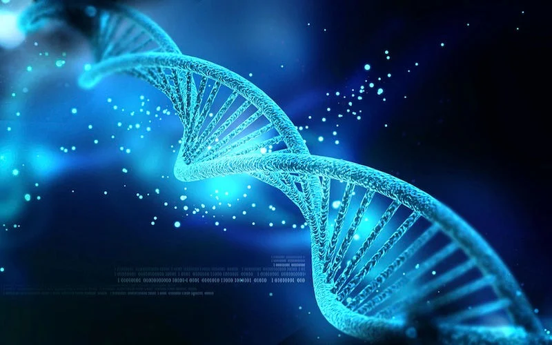DNA Quality Indicators for Downstream Application Sample Selection