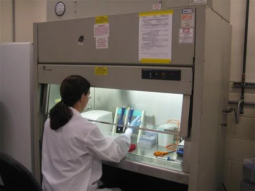 dna-extraction-asmg-lab-microbial-genomics.jpg