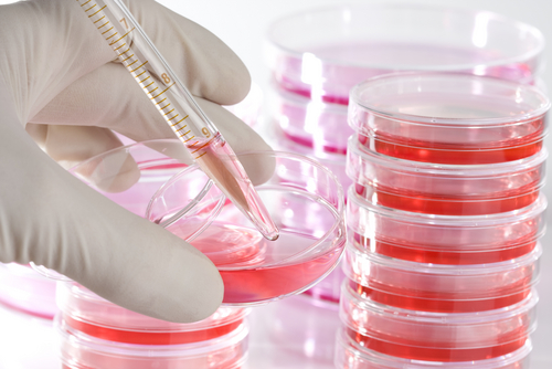 Human Tissue Samples are Used in Research