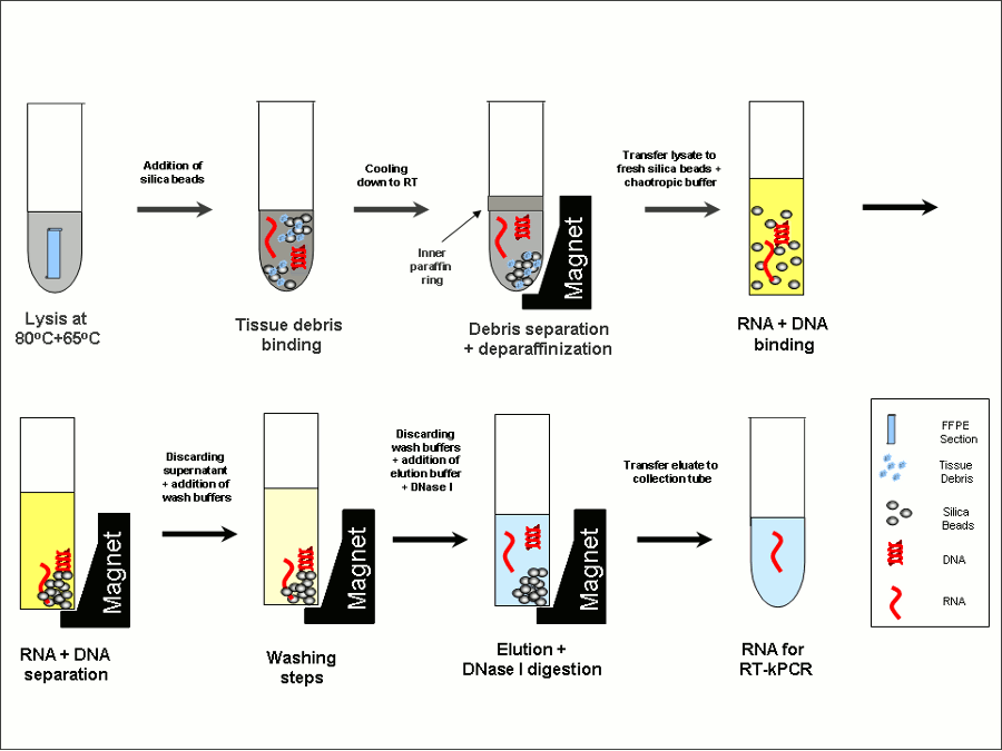The FFPE Process