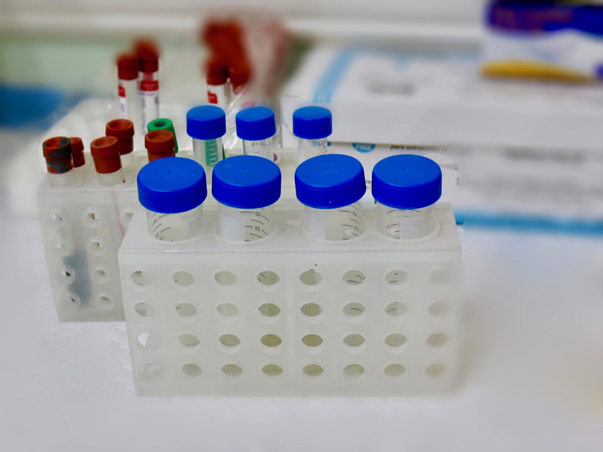 Newborn Genetic Screening Program