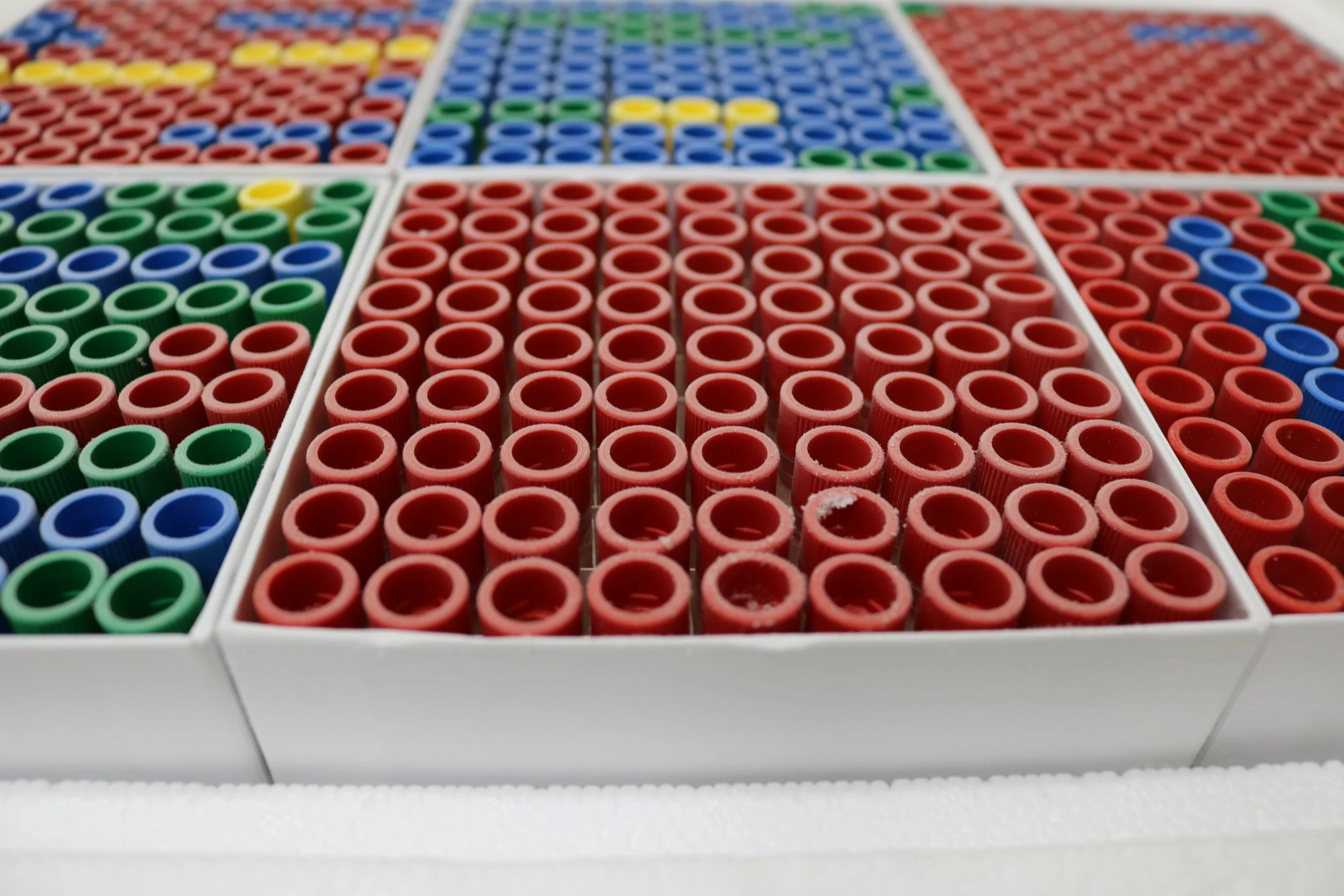  Preanalytical Variables: Long-Term Storage and Retrieval of Biospecimens