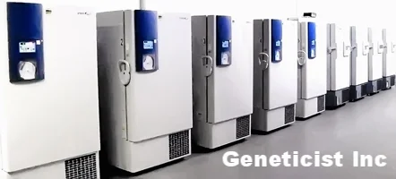 What Is A Bo Repository? – What is a Biorepository? – PABZWV
