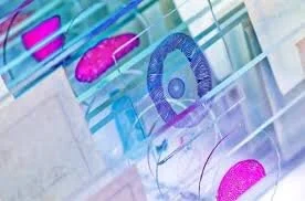 Biobanks and Tissue Microarrays: One of the Biggest Assets to Personalized Medicine and Clinical Research 