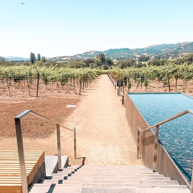 Stairway to (wine) heaven 😍🍷#silveroakcellars #alexandervalley #sonoma #destinationluxetravel #clevelandtravelagent #localgirlgangcle