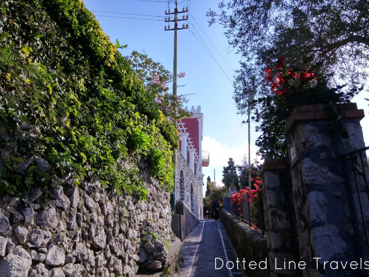 Just a photo taken at a random street in Capri, but it's so pretty!