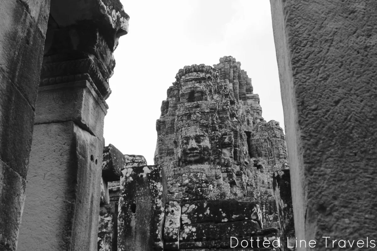 IMG_5545.jpg