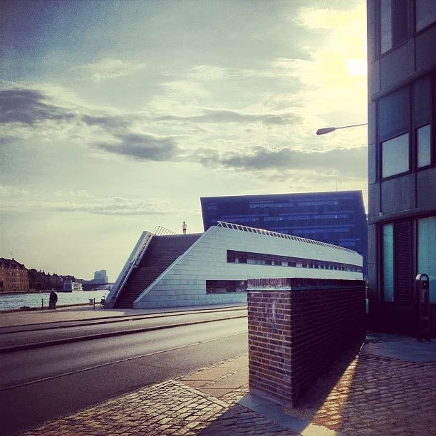 Copenhagen library.jpeg